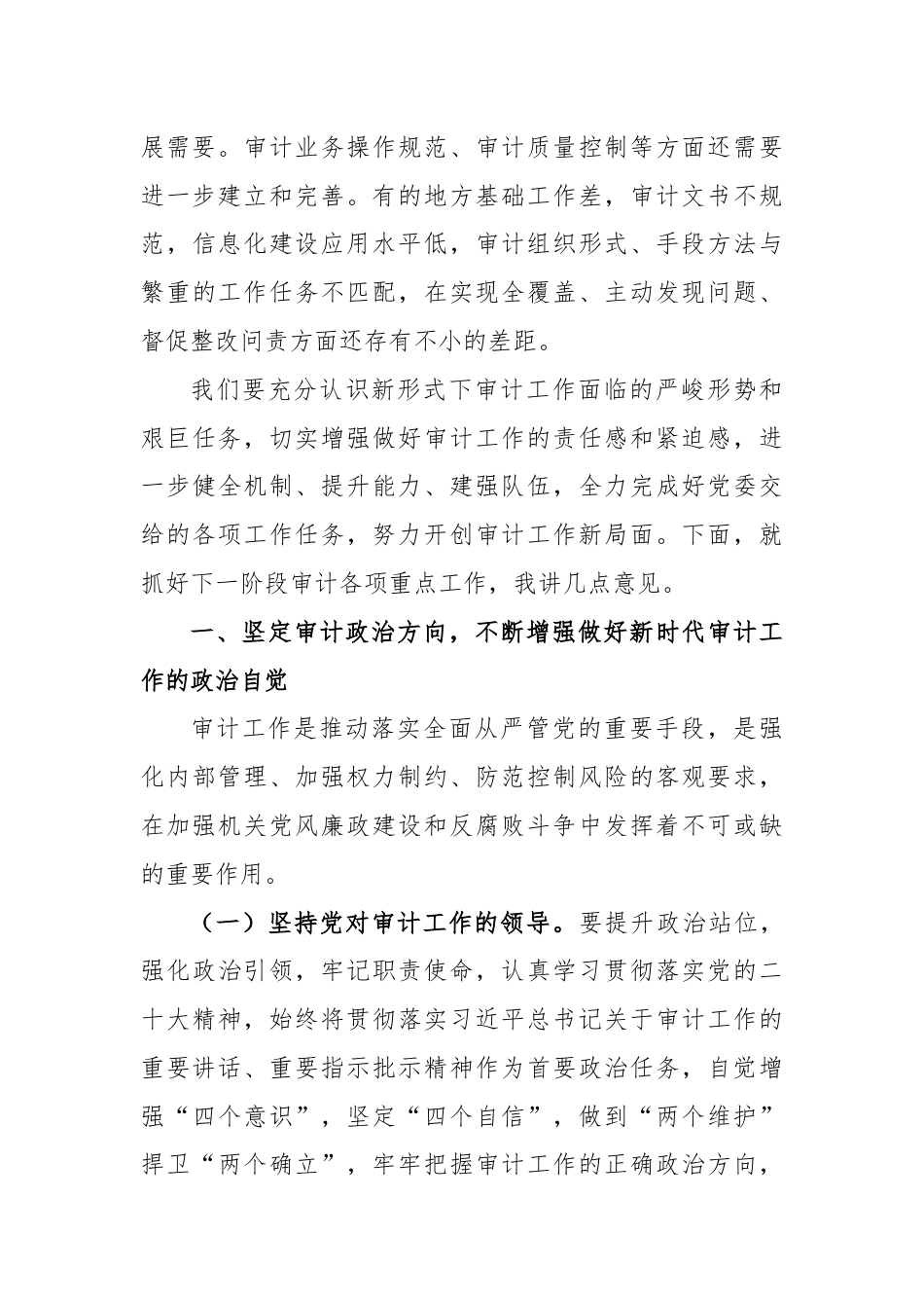 在审计工作会议上的讲话（2）.docx_第3页
