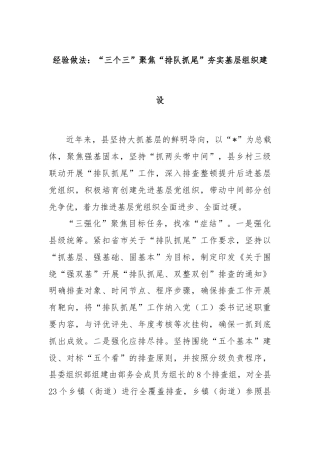 经验做法：“三个三”聚焦“排队抓尾”夯实基层组织建设.docx