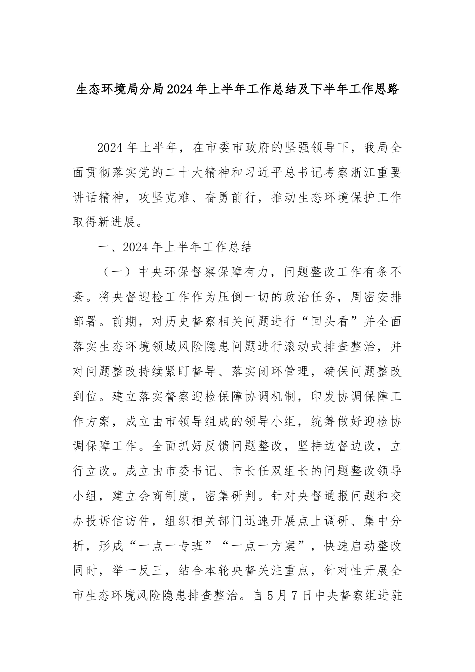 生态环境局分局2024年上半年工作总结及下半年工作思路.docx_第1页