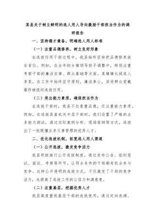 某县关于树立鲜明的选人用人导向激励干部担当作为的调研报告.docx
