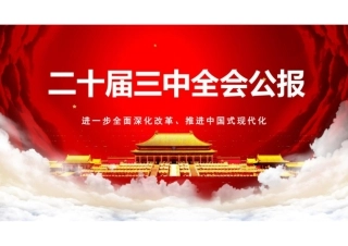 二十届三中全会公报.pptx