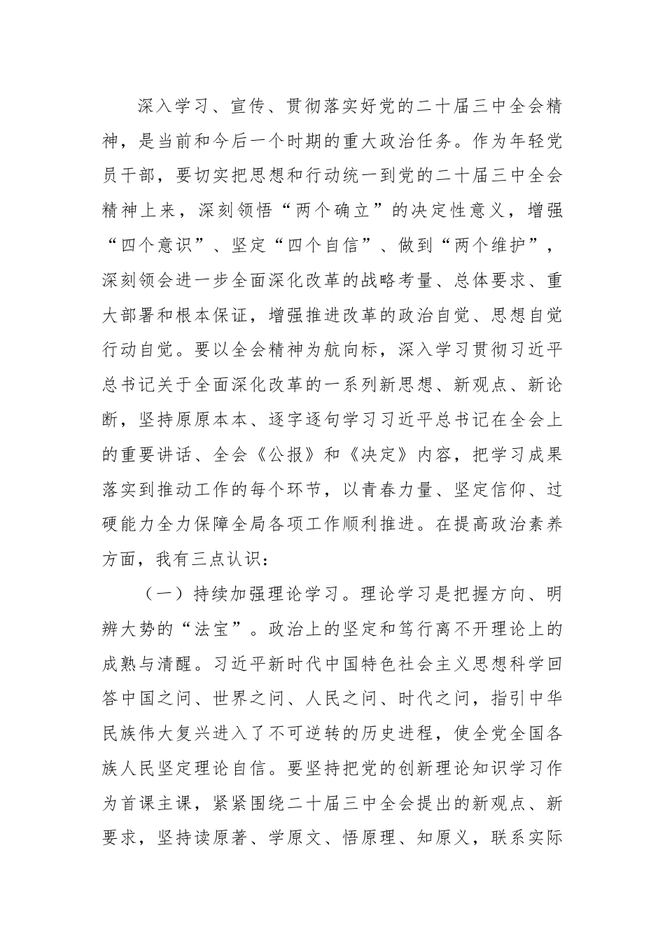 在青年理论学习小组党的二十届三中全会精神专题学习研讨会上的交流发言.docx_第2页