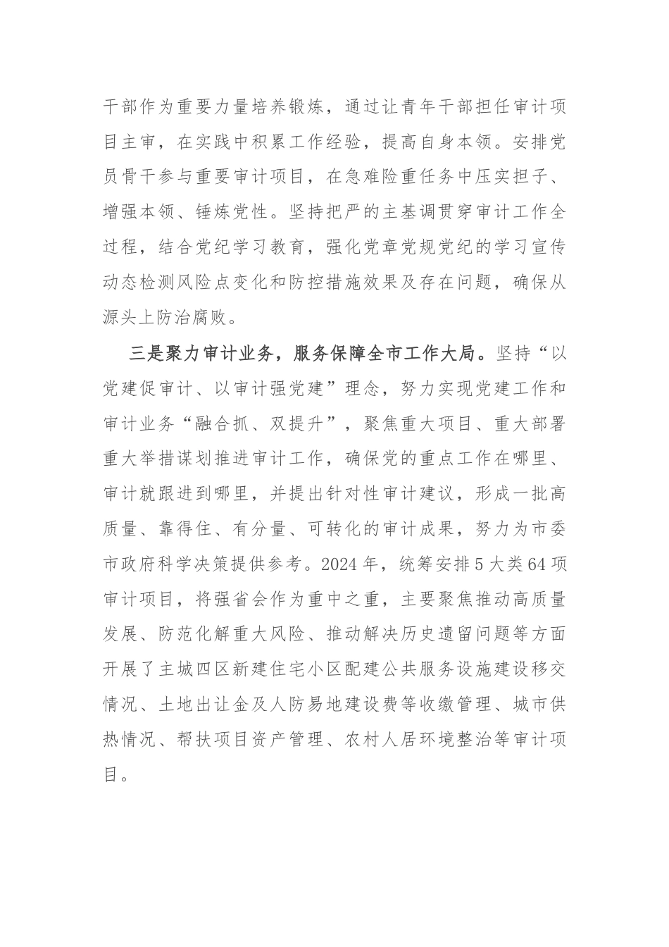 市审计局党组书记交流发言：：党建引领 品牌聚能 推动审计工作高质量发展.docx_第2页