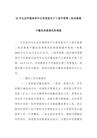 XX市生态环境局邹平分局党组关于十届市委第二轮巡察集中整改进展情况的通报.docx