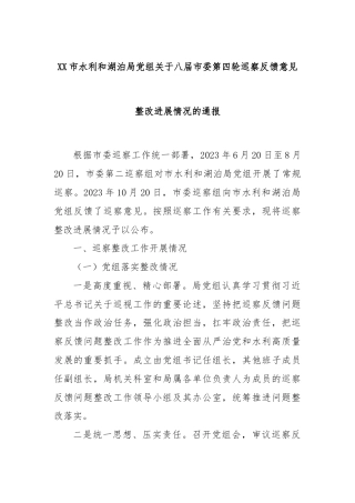 XX市水利和湖泊局党组关于八届市委第四轮巡察反馈意见整改进展情况的通报.docx
