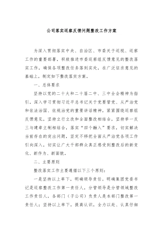 公司落实巡察反馈问题整改工作方案.docx