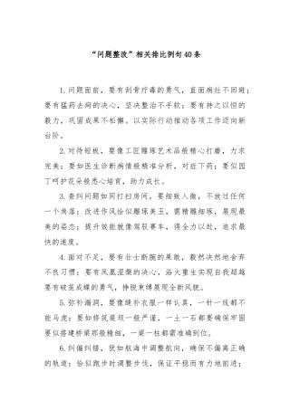“问题整改”相关排比例句40条.docx