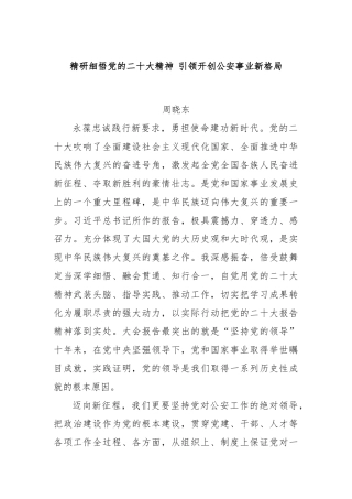 精研细悟党的二十大精神 引领开创公安事业新格局.docx