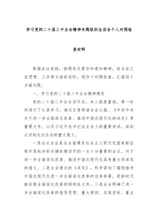 学习党的二十届三中全会精神专题组织生活会个人对照检查材料.docx