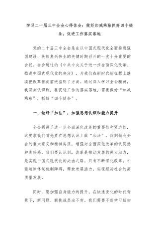 学习二十届三中全会心得体会：做好加减乘除抓好四个链条，促进工作落实落地.docx